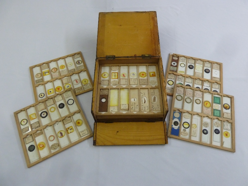 A quantity of prepared microscope slides in fitted wooden case (144)