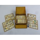 A quantity of prepared microscope slides in fitted wooden case (144)