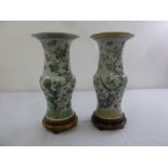 A pair of Chinese 19th century baluster vases decorated with birds, flowers and leaves on carved