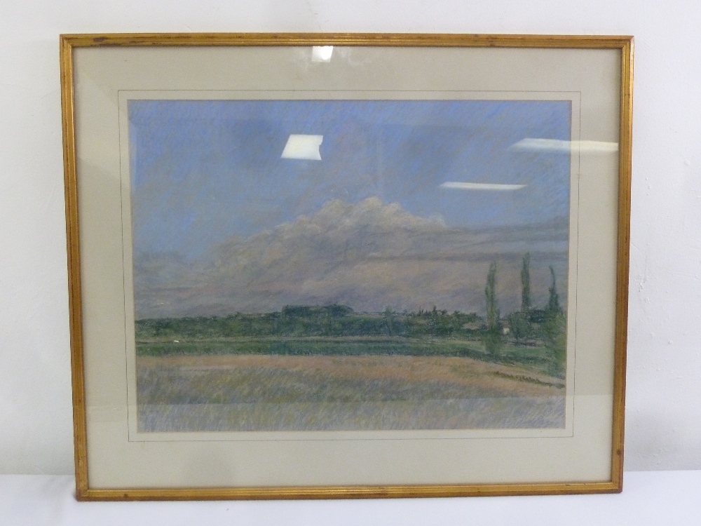 Jonathan Bowden framed and glazed watercolour of a country landscape, label to verso, 47.5 x 63cm