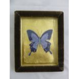 Jade Jagger framed and glazed watercolour of a Butterfly, signed and dated 1971 bottom right, 18