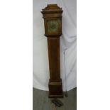 An Edwardian mahogany long case clock, brass dial with putti spandrels, two train movement,