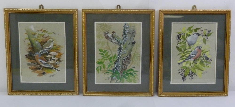 Ernest Leahy three framed and glazed watercolours of birds, 28 x 20.5cm