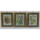 Ernest Leahy three framed and glazed watercolours of birds, 28 x 20.5cm