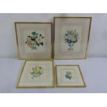 Four framed and glazed watercolour studies of flowers, indistinctly signed