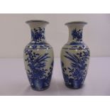 A pair of Chinese blue and white baluster vases decorated with flowers and leaves