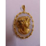9ct yellow gold diamond and agate pendant, approx total weight 31.6g