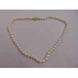 A single strand of freshwater pearls with a 9ct yellow gold clasp