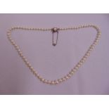 A single strand of pearls with white gold clasp and set with rubies