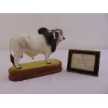 Royal Worcester figurine of a Brahman Bull limited edition 220/500 modelled by Doris Lindner to