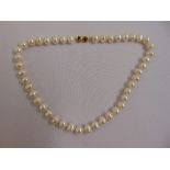 A single strand of freshwater pearls with 14ct gold clasp