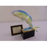 Royal Worcester figurine of a Dolphin limited edition 145/500 modelled by R. Van Ruyckevelt to