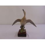 Royal Worcester figurine of a Pintail Duck with original packaging