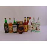 A quantity of alcohol to include whisky, bourbon, rum and gin (9)