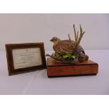 Royal Worcester figurine of a Bob-White Female Quail limited edition 205/500 modelled by R. Van