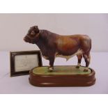 Royal Worcester figurine of a Dairy Shorthorn Bull limited edition 335/500 modelled by Doris Lindner
