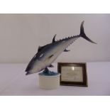Royal Worcester figurine of a Bluefin Tuna limited edition 207/500 modelled by R .Van Ruyckevelt