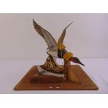 Royal Worcester figurine of a Canvas Back Duck with original packaging