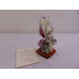 Royal Worcester figurine of a Spanish Hogfish limited edition 471/500 to include COA and packaging