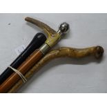 A horn handled walking stick and 3 others.