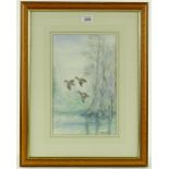 Ian Bowles, 2 watercolours, ducks in flight, large