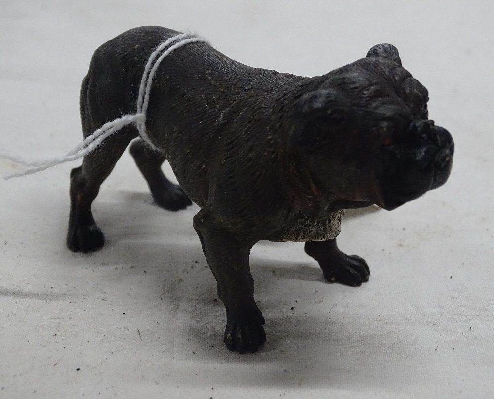 An Austrian cold painted bronze Bulldog.