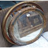 2 oval gilt framed mirrors