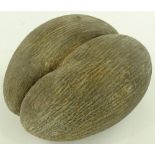 An Antique Coco de mer nut, length 24cm.
