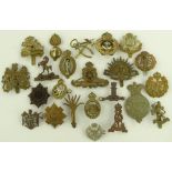 A collection of military cap badges.