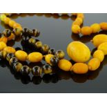 A string of graduated butterscotch amber beads, 43