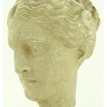 A plaster classical head on wood plinth, overall h