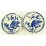 A pair of Chinese blue and white porcelain plates,