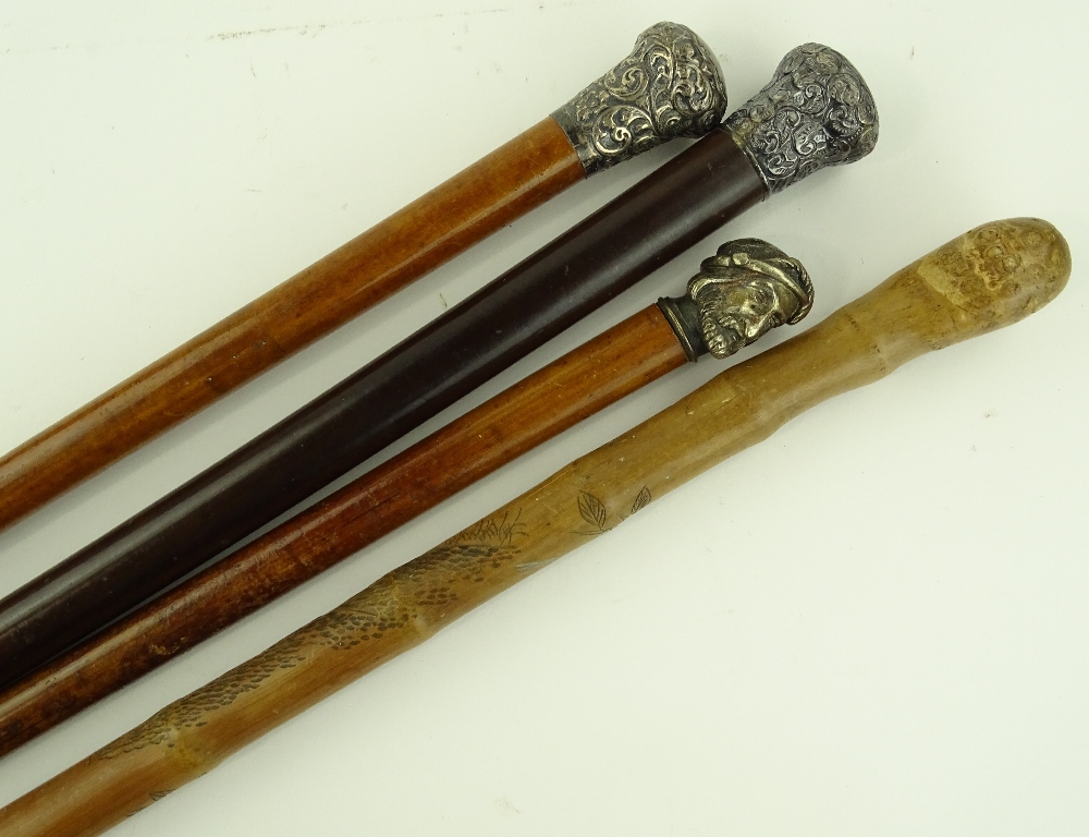 A group of walking sticks, comprising 2 embossed s