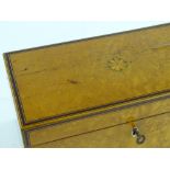 A 19th century satinwood tea caddy, rosewood and b