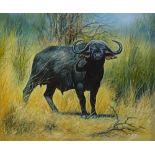 Winter, oil on canvas, Cape buffalo, signed and da