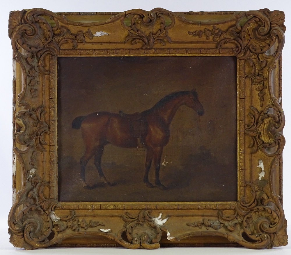 A 19th century oil on canvas, portrait of a horse - Image 2 of 4