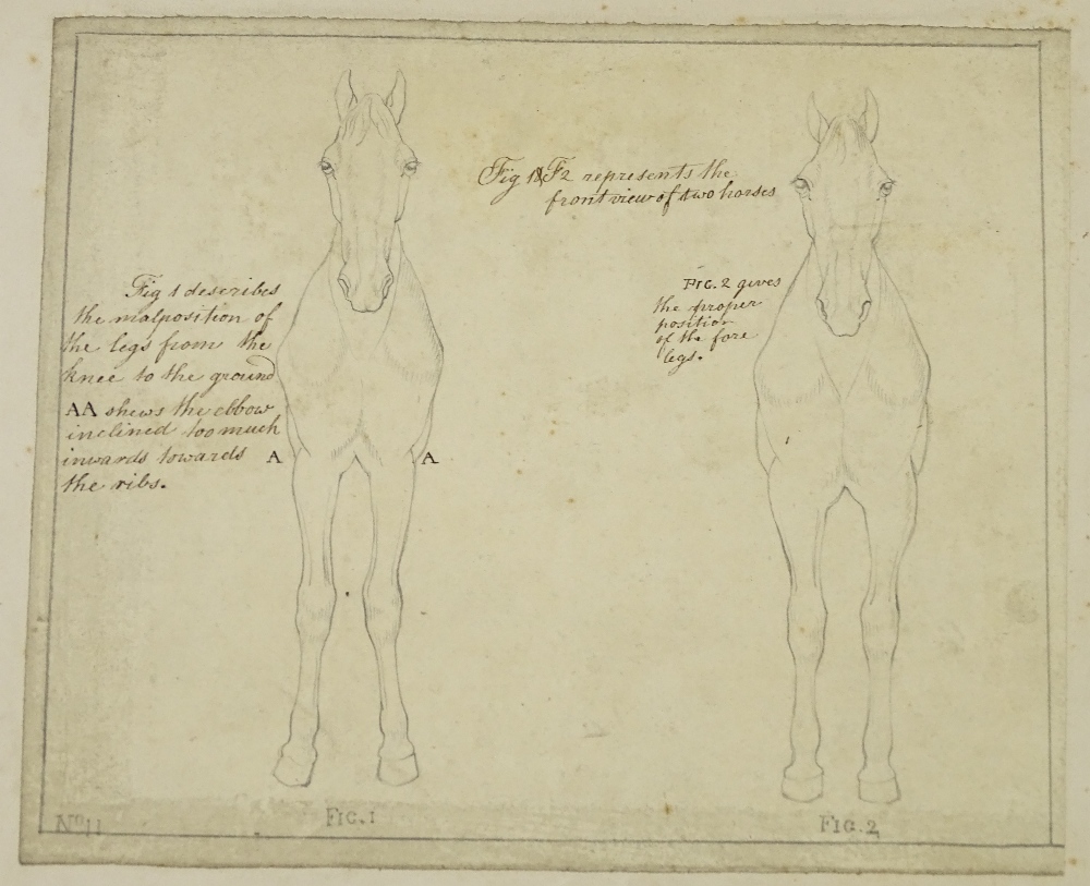 A group of 6 18th / 19th century drawings of horse