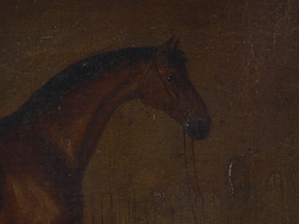 A 19th century oil on canvas, portrait of a horse - Image 3 of 4
