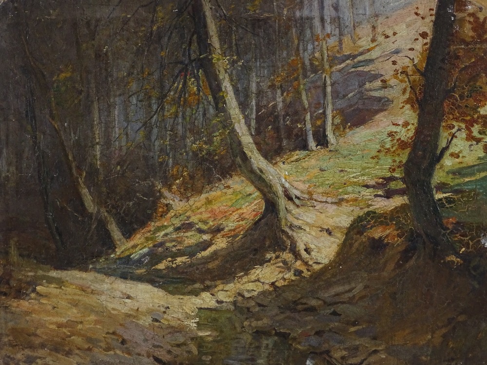 Paul Dillens (1874-1965), oil on board, woodland scene