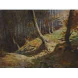 Paul Dillens (1874-1965), oil on board, woodland scene