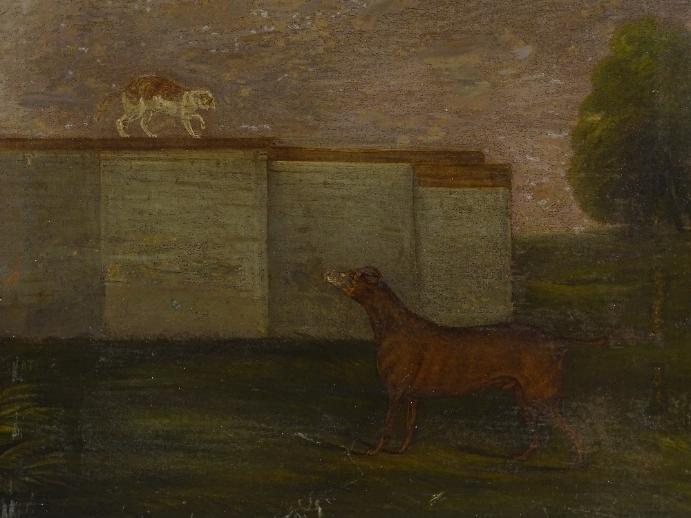 An 18th century oil on canvas, cat watching a dog,