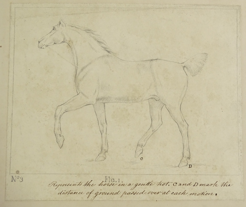 A group of 6 18th / 19th century drawings of horse - Image 3 of 3