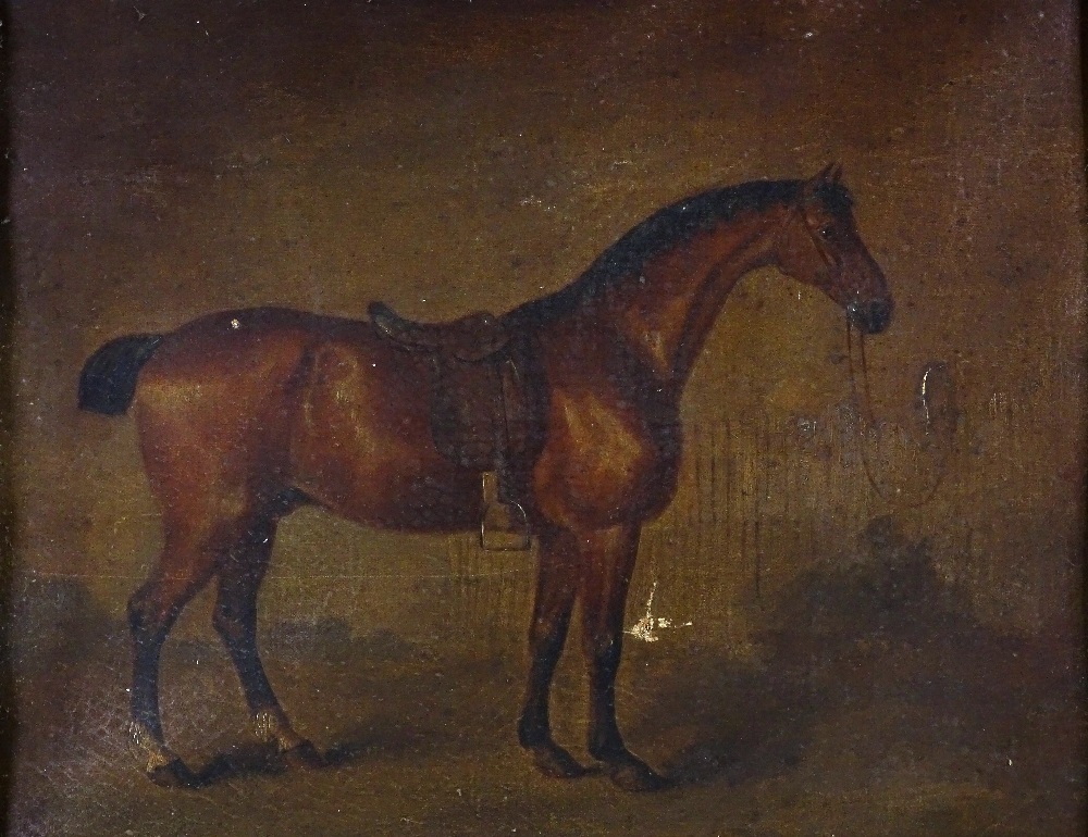 A 19th century oil on canvas, portrait of a horse