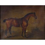 A 19th century oil on canvas, portrait of a horse