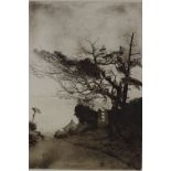 N Rawlin, etching, country lane, signed in pencil,