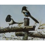 C Jeffares, oil on board, magpies on a fence, sign