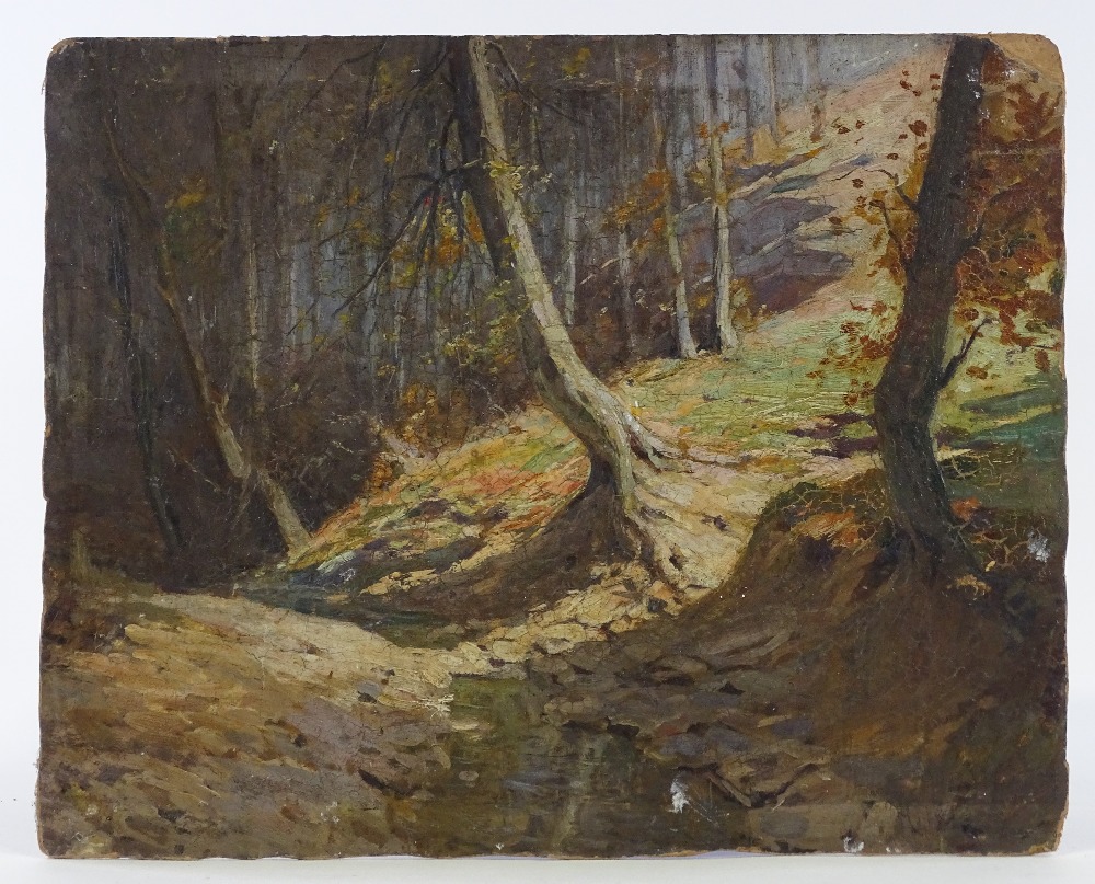 Paul Dillens (1874-1965), oil on board, woodland scene - Image 2 of 4