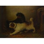 Circle of George Armfield, a 19th century oil on c