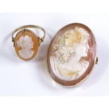 A relief carved cameo brooch, in 9ct gold frame, h