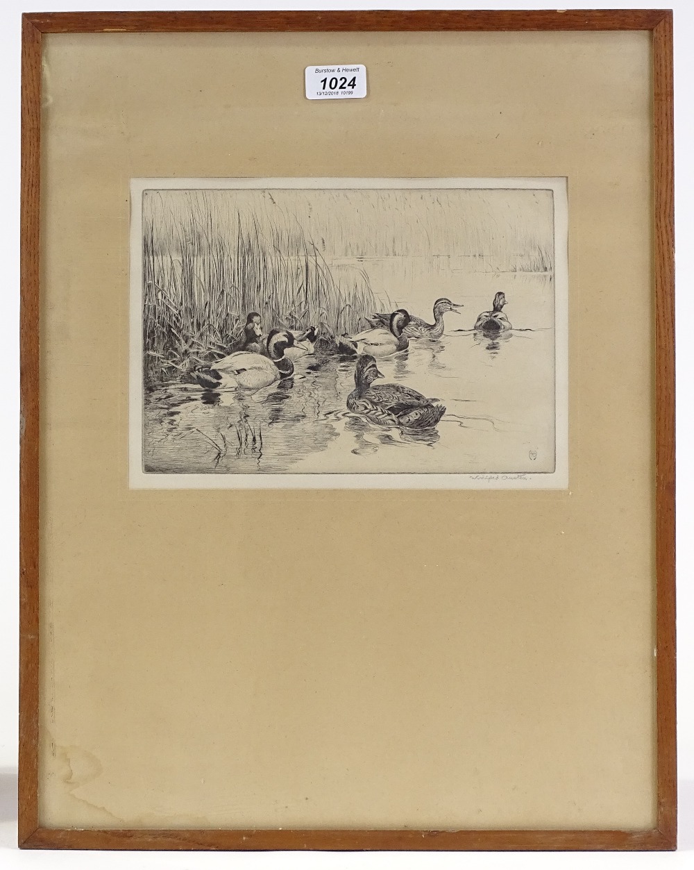 Winifred Austen, etching, ducks among the reeds, s - Image 3 of 4